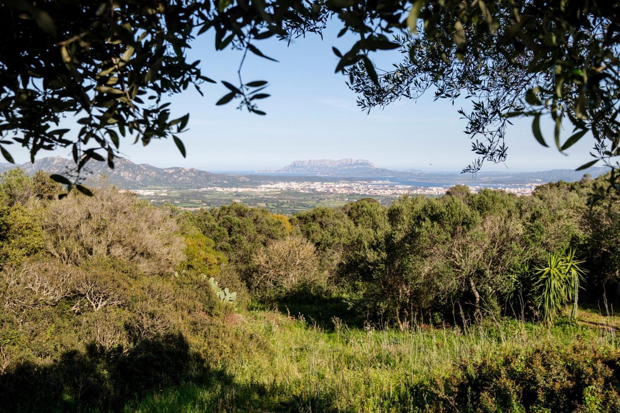 Holiday home Stazzu Straetu Olbia